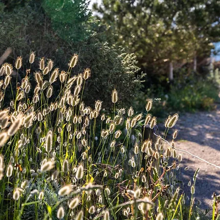 Le De La Presqu Ile De Giens Sea And Mountain Pleasure * Hyères