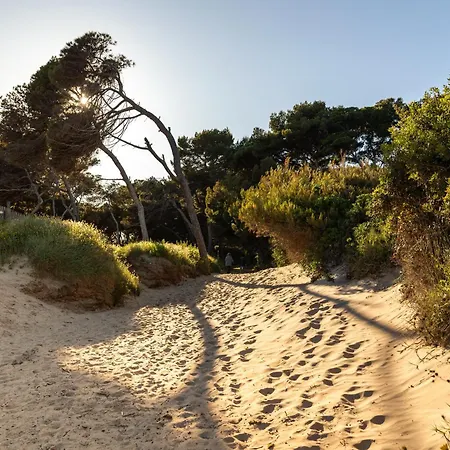 Villa Le De La Presqu Ile De Giens Sea And Mountain Pleasure *