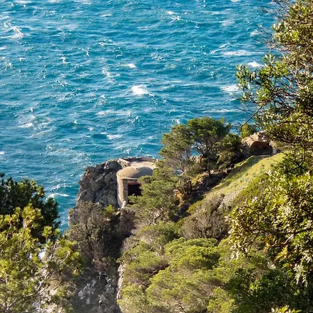 Le De La Presqu Ile De Giens Sea And Mountain Pleasure Hyères