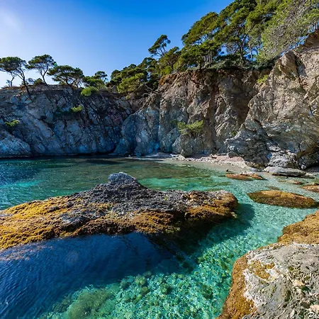 Villa Le De La Presqu Ile De Giens Sea And Mountain Pleasure *