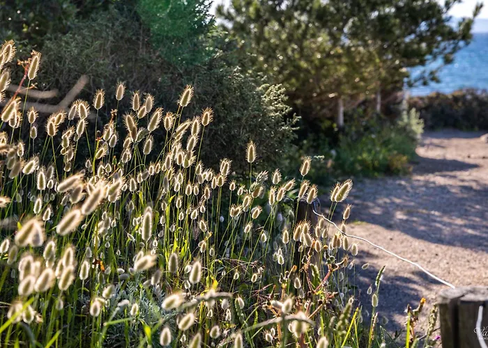 Le De La Presqu île De Giens Sea&mountain Pleasure * Hyères