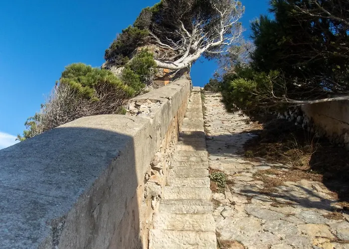 Le De La Presqu île De Giens Sea&mountain Pleasure Hyères