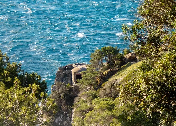 Le De La Presqu île De Giens Sea&mountain Pleasure Hyères