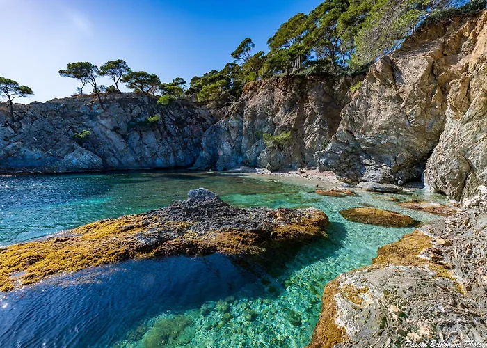 Villa Le De La Presqu île De Giens Sea&mountain Pleasure *